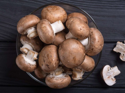 XOLDA Mushroom Seed(22 per packet)