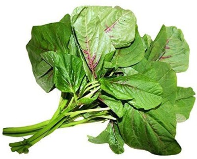 KANAYA Cholai Saag Seed(15 per packet)