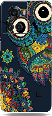 BUGGU Baby Owl For OnePlus 10R Skin Guard, OnePlus 10 R Mobile Skin(Baby Owl With High Matte Finish.)