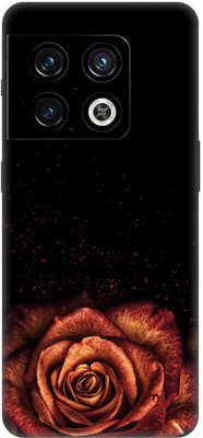 wrap craft Oneplus 10 Pro (5G) Mobile Skin(Multicolor)