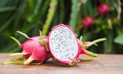 Oliver f1 QUALITY dragon fruit Seed(50 per packet)