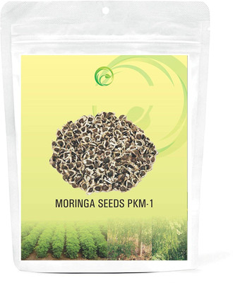 MKR ENTRPRISES Moringa Seed(100 per packet)