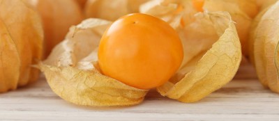 QALANDAR Cape Gooseberry Goldenberry Physalis Seed(20 per packet)