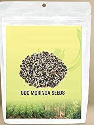 MKR ENTRPRISES Moringa Seed(70 per packet)
