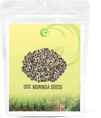 MKR ENTRPRISES Moringa Seed(70 per packet)