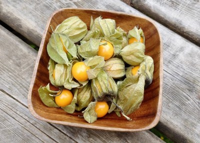 QALANDAR Cape Gooseberry Super Sweet, Tangy Seed(100 per packet)