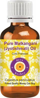 deve herbes Pure Malkangani (Malkangni / Jyotishmati) Oil (Celastrus paniculatus) 100% Natural Therapeutic Grade Cold Pressed