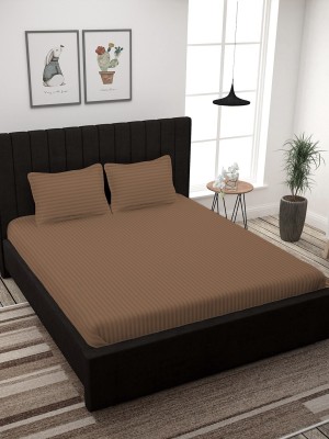 Ariana 310 TC Polyester Queen Striped Flat Bedsheet(Pack of 1, Brown)
