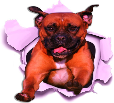 Varadvinayak 35 cm Dog, Medium self Adhesive fridge Sticker Self Adhesive Sticker(Pack of 1)