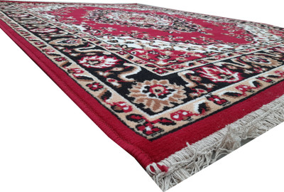 Acarpet Red Polypropylene Carpet(8 ft,  X 11 ft, Rectangle)