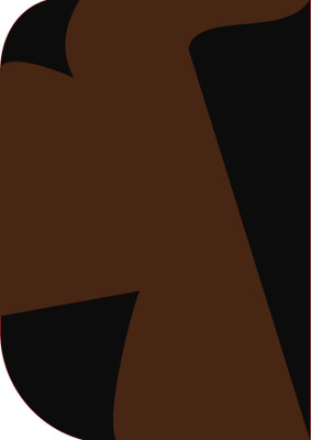 Stookin 6ft X 9ft ,2 In 1 Colors Single Photography Backdrop (Black & Brown 2 In 1 ) Reflector