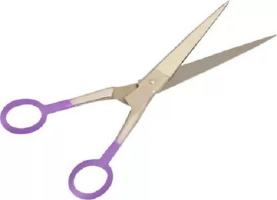 Zhunmun Scissors for Beard and Mustache Styling Trimming Scissors (Set of 1, Silver) Scissors(Set of 1, Silver)