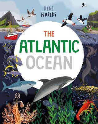Blue Worlds: The Atlantic Ocean(English, Paperback, Ganeri Anita)