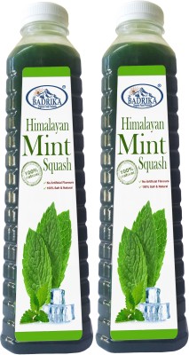 Badrika Pure Natural Himalayan Mint | Pahari Pudina Squash(2 x 750 ml)