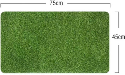 MARSHLAND Artificial Grass Door Mat(Green, Medium)