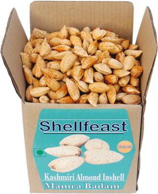 Shellfeast Kashmiri Mamra Almond in Shell. Kashmiri Mamra Badam Sabut, Desi Almonds Almonds