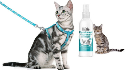 Hachiko Cat Collar Harness with Leash + Amazing Body Spray Set Adjustable For All Cats Cat Harness & Leash(Medium, MULTICOLOR)