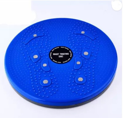 Owlix HEAVY QUALITY TWISTER Ab Exerciser(Multicolor)