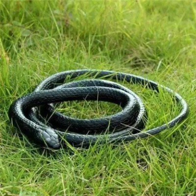 FineArts Rubber Snake(Black)