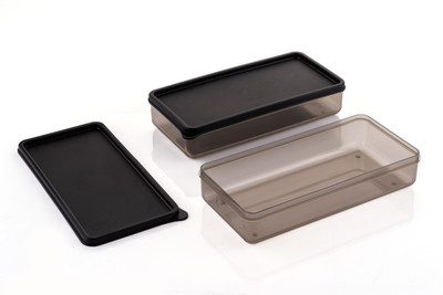 Flipkart SmartBuy Plastic Fridge Container  - 500 ml(Pack of 2, Black)