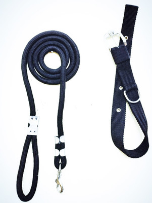 JAPIN Dog Collar & Leash(Medium, BLACK)
