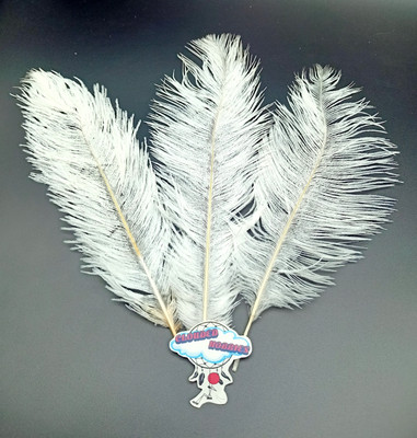 CLOUDED HOBBIES Pack of 5 Decorative Feathers(23-28 Ostrich Feather)