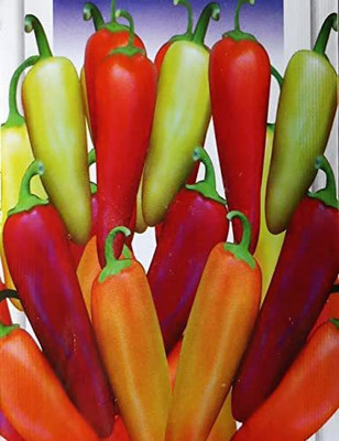 TRICONE Chilli Seed(185 per packet)