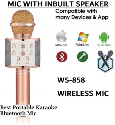 Y2H Enterprises Q413 (Ws858) Pro Wireless Mic HanQhelQ Color May Vary (Pack of 1) Microphone