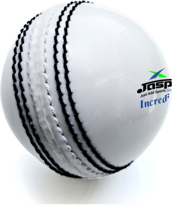 Jaspo Incredi-Ball Soft T-20 Training/Practice Ball Recommended for Indoor/Outdoor Cricket Synthetic Ball(Pack of 1, White)