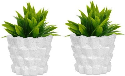 OriginalCeramics Small Khajoor Shape Ceramic Pot Plant Container Set(Pack of 2, Ceramic)