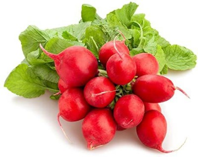 DEVAMA THE DIVINE turnip, reddish, round reddish Seed(100 per packet)