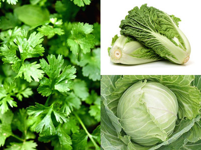 Gromax India F1 Hybrid Cabbage ,Chinese cabbage,parsley, Vegetable Seed For Home Garden Each Seed(40 per packet)