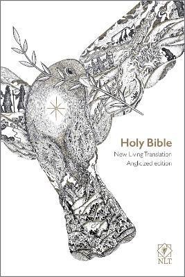 NLT Holy Bible: New Living Translation Popular Flexibound Dove Edition, British Text Version(English, Paperback, unknown)