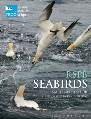 RSPB Seabirds(English, Hardcover, Taylor Marianne)