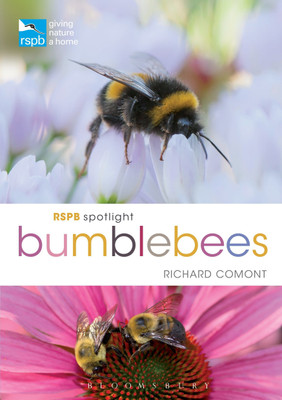 RSPB Spotlight Bumblebees(English, Paperback, Comont Richard)