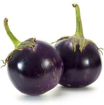 CYBEXIS LXI-22 - F1 HYBRID BRINJAL ROUND/ GOOL BAINGAN - (150 Seeds) Seed(150 per packet)