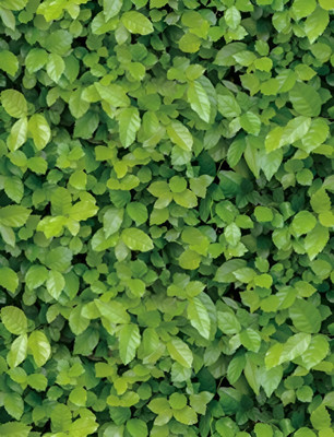 HOMEMATES 304.8 cm Green Leaves Waterproof Wallpaper Modern Decor Wall (304.8 x 45.72 cm) Self Adhesive Sticker(Pack of 1)