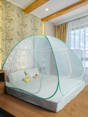 Flipkart SmartBuy Polyester Adults Washable Foldable Double Bed Mosquito Net(Green, Tent)