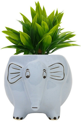 Luminescence Enterprises Ceramic Elephant Shaped Planter, White Color, Pack Of 1 Plant Container Set(Ceramic)