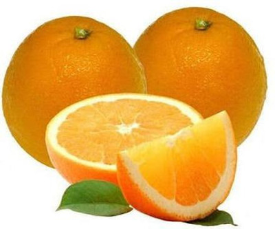 Sarthak All Time Vietnam Sweet Lemon Plant(Hybrid, Pack of 1)