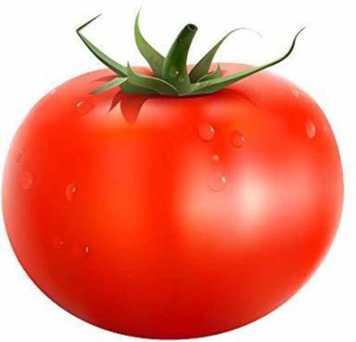 MKR Enterprises Tomato Seed(80 per packet)