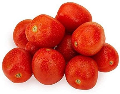 MKR Enterprises Tomato Seed(200 per packet)