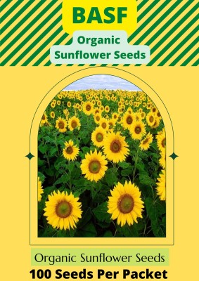 BASF Sunflower Seeds Seed(100 per packet)