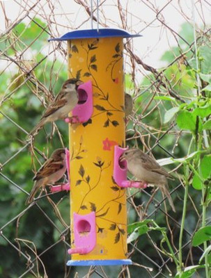 AMIJIVDAYA 6 Nozzle Metal Designer Window Bird Feeder(Multicolor)