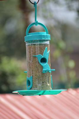 AMIJIVDAYA Medium Bird Shape Nozzle Window Bird Feeder(Blue)