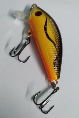 JUST ONE CLICK Hard Bait Plastic Fishing Lure