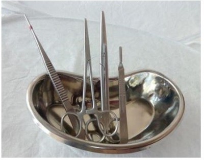 ARINEO Set of 4 with kidney tray (6 Inch) Utility Forceps