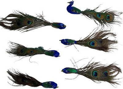 Kanha set of 6 artificial Mor / peacock Decorative Showpiece  -  22 cm(Feather, Dark Blue)
