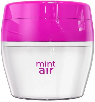 Mint Air SQUASH Diffuser Squash Car Freshener (125 g)(1 Units)