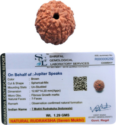 jupiter speaks 7 Mukhi Rudraksha Indonesian 14-15 mm Size With Lab Certificate Natural Brown Wood Pendant